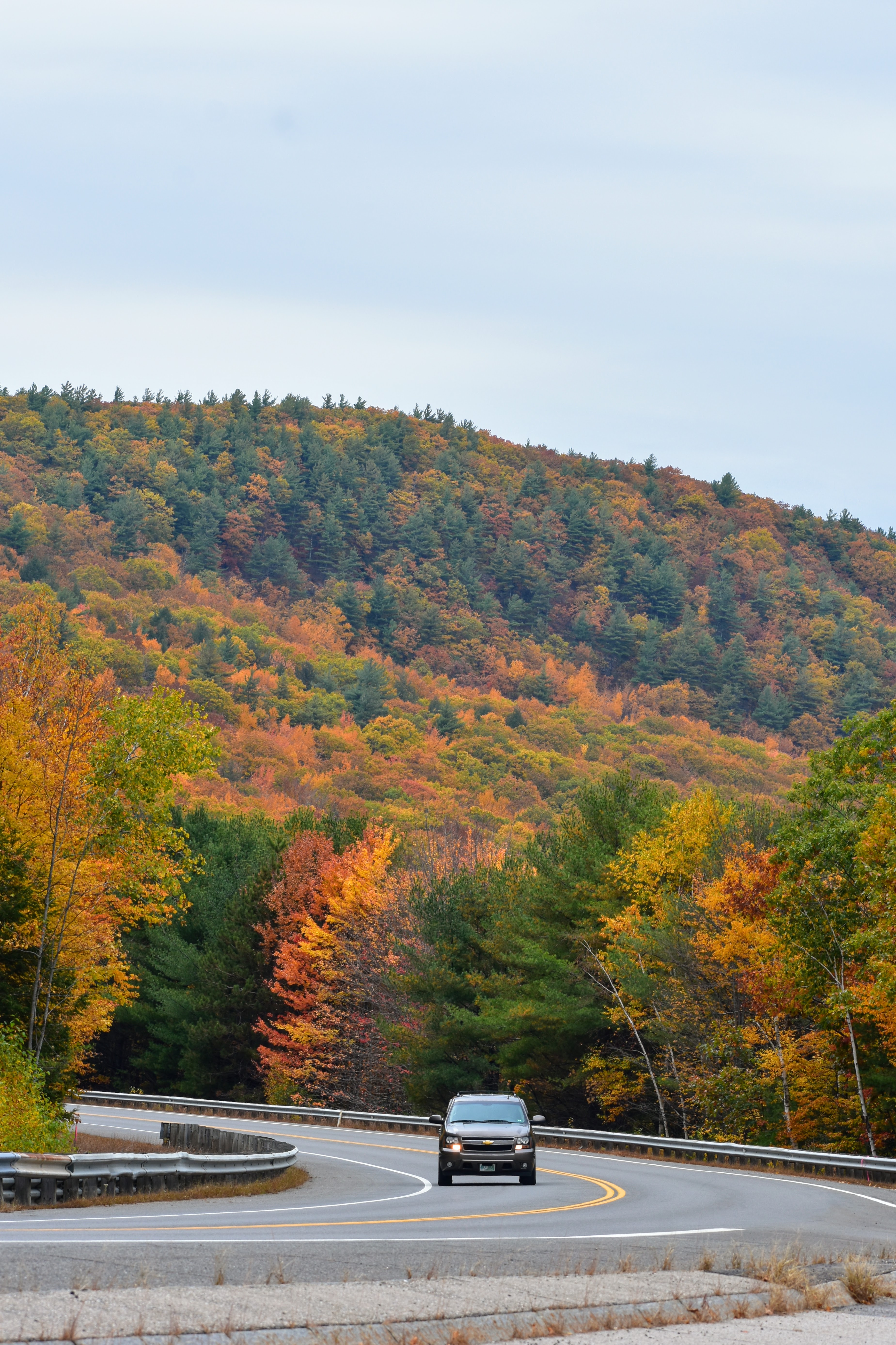 Fall Curve Road Car