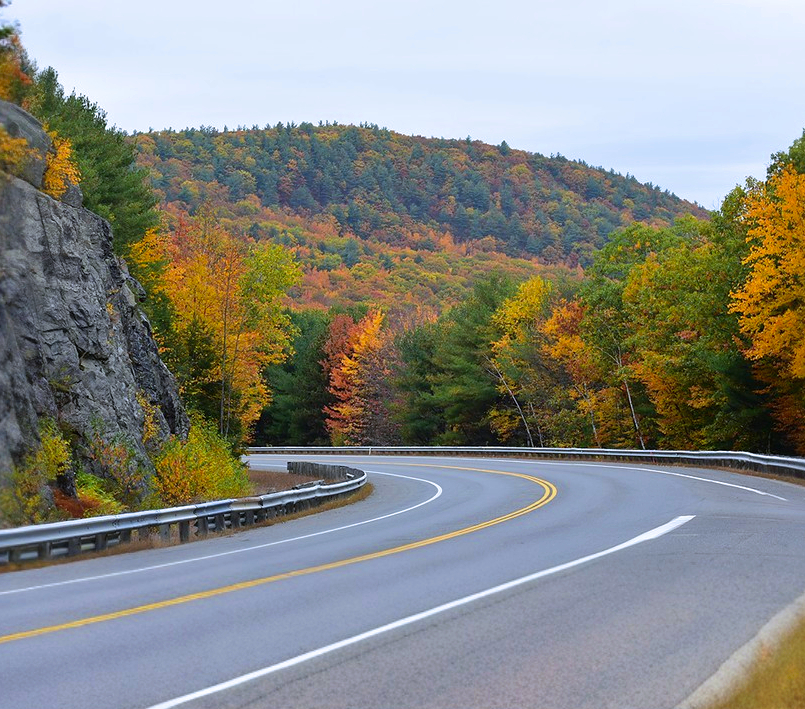 Fall Curve Road