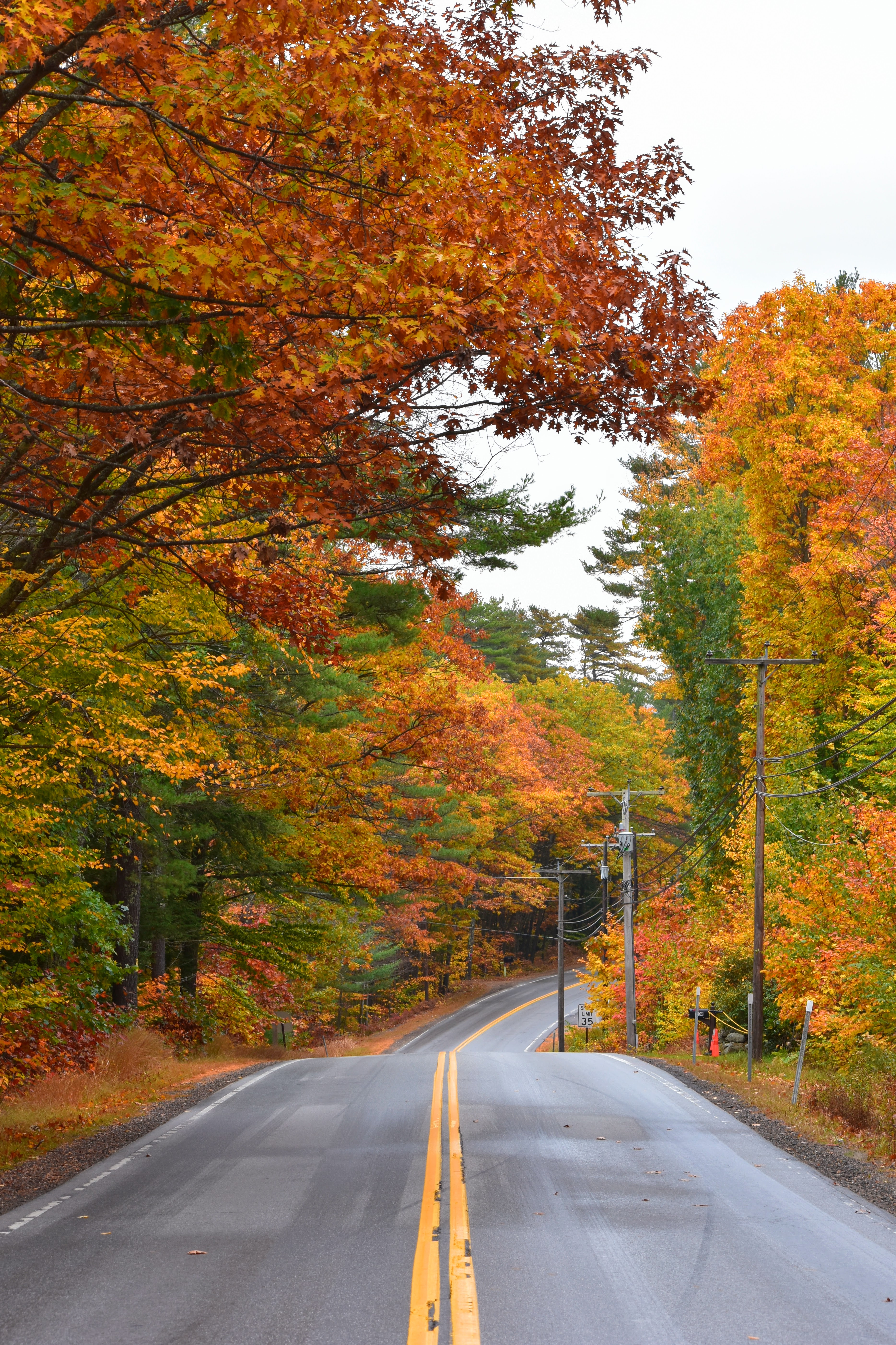 Fall Road